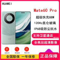 [有货]华为Mate60 Pro 12GB+256GB 雅川青 88W快充 全焦段超清影像 鸿蒙OS 120Hz昆仑玻璃屏 支持卫星通话 全网通手机