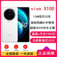 vivo X100 白月光 12GB+256GB 蓝晶x天玑9300旗舰芯 蔡司影像 LPDDR5X闪存 120W双芯闪充 5G拍照 全新自研影像芯片V2 手机