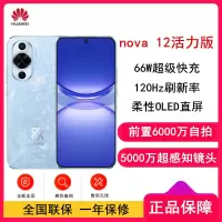 华为nova12 活力版 冰雪蓝 256GB 66W超级快充 120Hz刷新率 前置6000万超广角拍照 华为手机