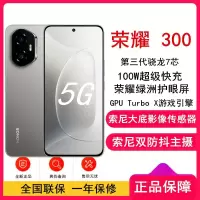 [全新]荣耀300 苍山灰 12GB+256GB 第三代骁龙7芯 5G 5300毫安青海湖电池 100W快充 拍照手机