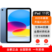 [原封]Apple iPad 11代 512GB eSIM全网版 蓝色 A16芯片 1200万像素 4K录制视频 学习娱乐办公平板电脑