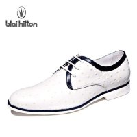 布莱希尔顿 2014新款 鸵鸟纹男士时尚商务风休闲皮鞋 引领潮流