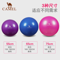 CAMEL骆驼户外运动瑜伽球 减肥瘦身平衡弹力运动健身球瑜伽球