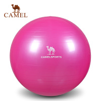 CAMEL骆驼户外运动瑜伽球 减肥瘦身平衡弹力运动健身球瑜伽球