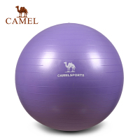 CAMEL骆驼运动瑜伽球 健美瘦身平衡弹力厚防爆健身瑜伽球