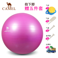 CAMEL骆驼运动瑜伽球 健美瘦身平衡弹力厚防爆健身瑜伽球