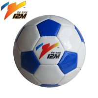 12M正品儿童足球 宝宝玩乐足球 2号小球 包邮 乐球体育