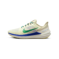 Nike Air Winflo 9 PRM 减震防滑耐磨 低帮 跑步鞋 白绿蓝 DV8997-100