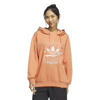 adidas originals三叶草 字母Logo图案运动长袖连帽卫衣 女款 淡卡其棕 IW9413