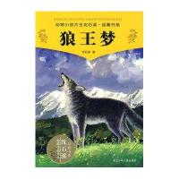 动物小说大王沈石溪.品藏书系:狼王梦