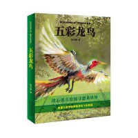 沈石溪动物小说·感悟生命书系:五彩龙鸟