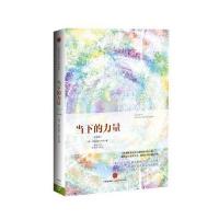 当下的力量（珍藏版）