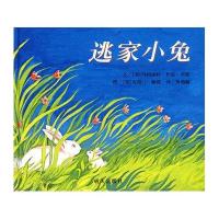 信谊图画书：逃家小兔(2013版)