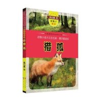 大家最爱读的动物小说 ：猎狐