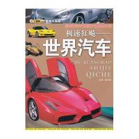 视觉大发现:极速狂飙:世界汽车