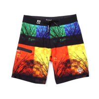 DUNKELVOLK潮牌男装 潮男炫彩图片艺术个性原创前卫速干沙滩裤 夏季弹力透气冲浪短裤