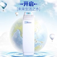 美国滨特尔软水机家用SFT-1035-56SEM中央软水器PWCE35F10软水器 2吨/小时 免费设计 免费安装
