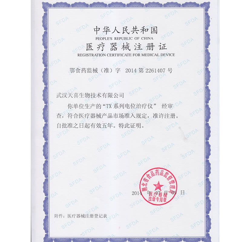 瑞喜堂 TX-9000IV 能量养生仪 电位治疗仪高电位治疗仪多功能家用高电位治疗机理疗仪失眠 标配图片