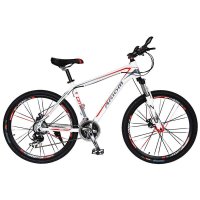 FeelRight觉对 AGIOM系列 FH26寸铝架24速锁死前叉前减震碟刹山地自行车