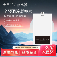 大臣 防冻型燃气热水器DC01A 天然气气源 13L