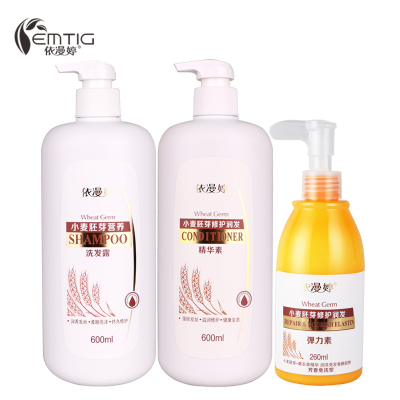 小麦胚芽营养洗护发套装（营养洗发露600mL+修护润发精华素600mL+弹力素260mL）滋养头皮 补充营养 修护受损