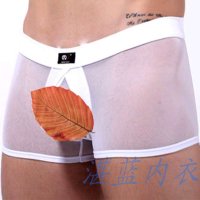 湛蓝内衣 网将网纱透明内裤男士吊环平角裤7024
