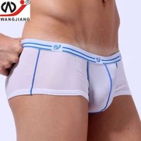 湛蓝内衣 WJ网将男士内裤 超簿软滑冰丝内裤性感半透明男平角裤WJ7075