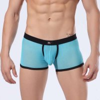 湛蓝内衣 WJ网将男士内裤 网纱透明U凸性感平角裤WJ7051