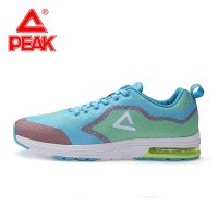 匹克跑步鞋男新品春夏季轻便休闲旅游鞋学生复古网鞋男款 DH051213