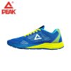 Peak/匹克跑鞋男 夏季新款透气轻质防滑减震运动鞋正品男士跑步鞋 DH620501