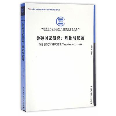 金砖国家研究：理论与议题