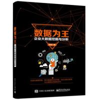 数据为王——企业大数据挖掘与分析