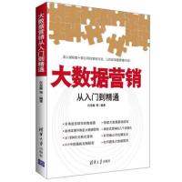 大数据营销从入门到精通