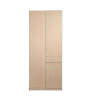 现代时尚简约整体衣柜/两门衣橱/儿童衣柜/儿童衣橱