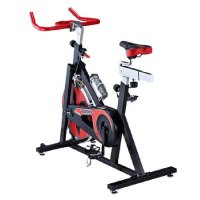 EVERE 艾威家用动感单车BC4330双向链条传动动感单车 健身车