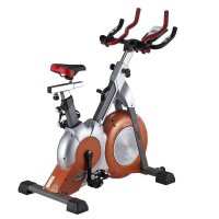 EVERE 艾威 艾威 磁控竞赛车BC8530立式健身车室内健身自行车