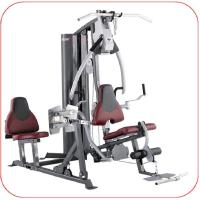 EVERE 艾威 艾威力量多功能综合训练器GM6800两人站