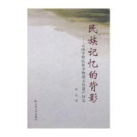 民族记忆的背影——去南少数民族非物质文化遗产研究