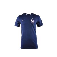 NIKE(耐克)2014AS FFF CORE TEE夏季男子短袖针织衫647791-451