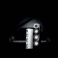 雅马哈(YAMAHA)NS-F901 Soavo系列落地音箱 2.0声道落地式HiFi音箱家用音响 钢琴漆饰面原木箱体