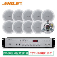 狮乐 (SHILE)T-501喇叭10个+五分区功放 定压吸顶喇叭套装功放分区独立调节校园背景音乐影院公共广播音响系统