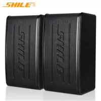 狮乐(SHILE) BX-116 家庭KTV音响卡包卡拉ok家用K歌音响电视会议培训舞蹈室音箱 (一对)