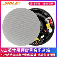 狮乐 (SHILE)BX-306 天花定阻吸顶喇叭音响室内吊顶式6.5英寸会议室背景音乐公共广播 BX-306喇叭一只