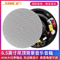 狮乐 (SHILE)BX-306 天花定阻吸顶喇叭音响室内吊顶式6.5英寸会议室背景音乐公共广播 BX-306喇叭一只