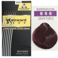 章华 彩色护发染发膏 护染焗油 野果珍染发膏460ml*2 葡萄紫色