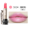 Anna sui/安娜苏魔法心愿星星唇膏口红302#