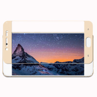 东雅 vivo X9/Plus全屏覆盖钢化膜手机贴膜