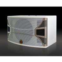 阿斯奎斯(Asquith)FA10音箱 10寸专业音响 KTV音响 卡拉OK音箱 会议音响 电教室音响