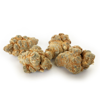 滇域茗草 文山三七20头春三七一斤(28只)