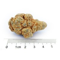 滇域茗草 文山三七20头春三七一斤(28只)